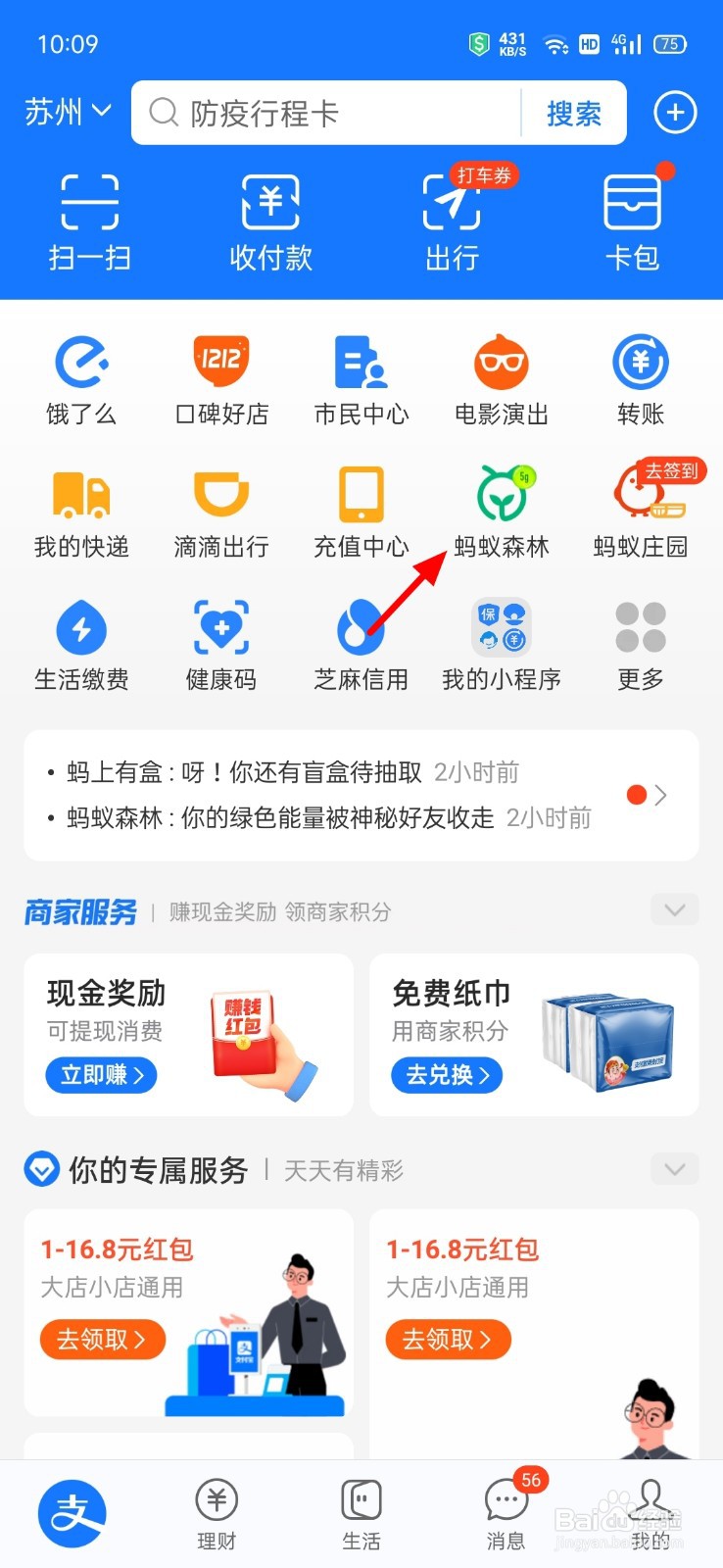 什么行为能导致蚂蚁森林被关闭