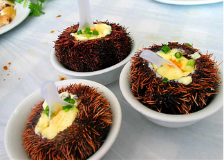 海胆怎么吃视频