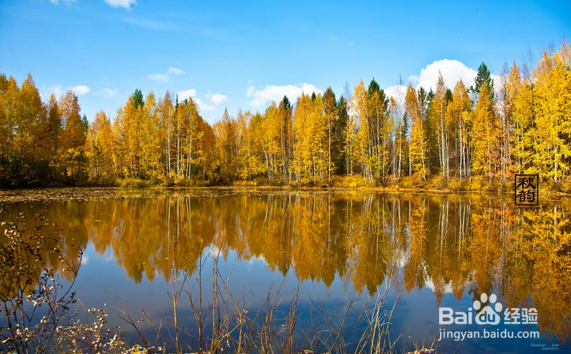 秋季要预防什么病