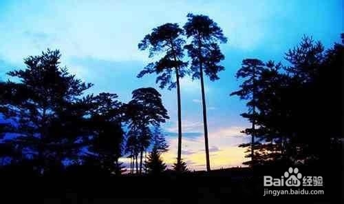 十月一外出旅游注意事项有哪些