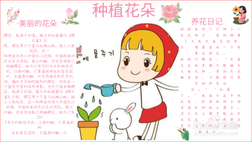 种植花朵手抄报