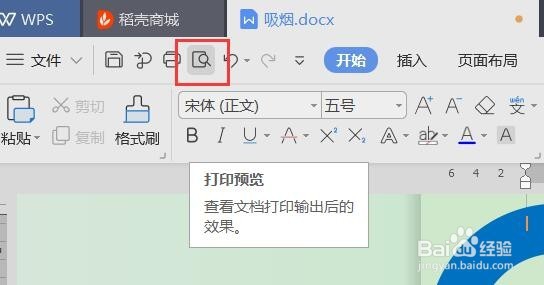 WPS如何调整打印格式