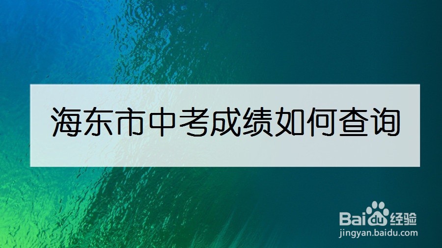 海东市中考成绩如何查询