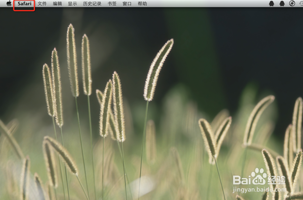 怎样解决mac中adobe flash老是过期的问题