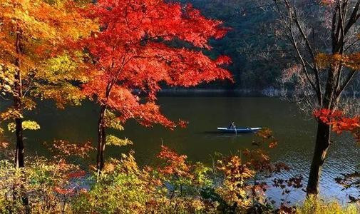 一年好景君须记 正是橙黄橘绿时表达了作者什么感情