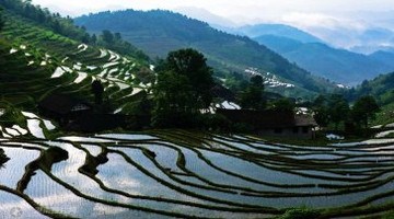 紫鹊界梯田旅游攻略