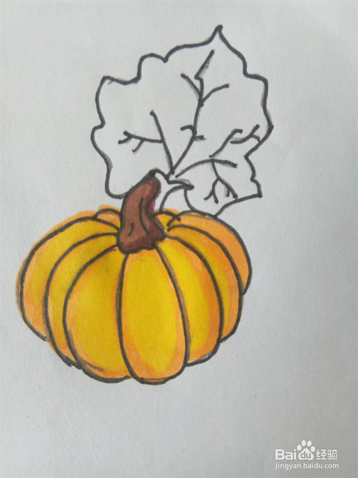 南瓜的简笔画怎么画
