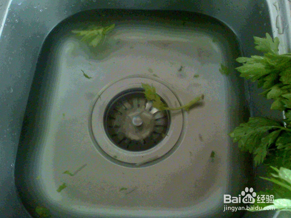 怎样做好炒旱芹菜地瓜粉的备料