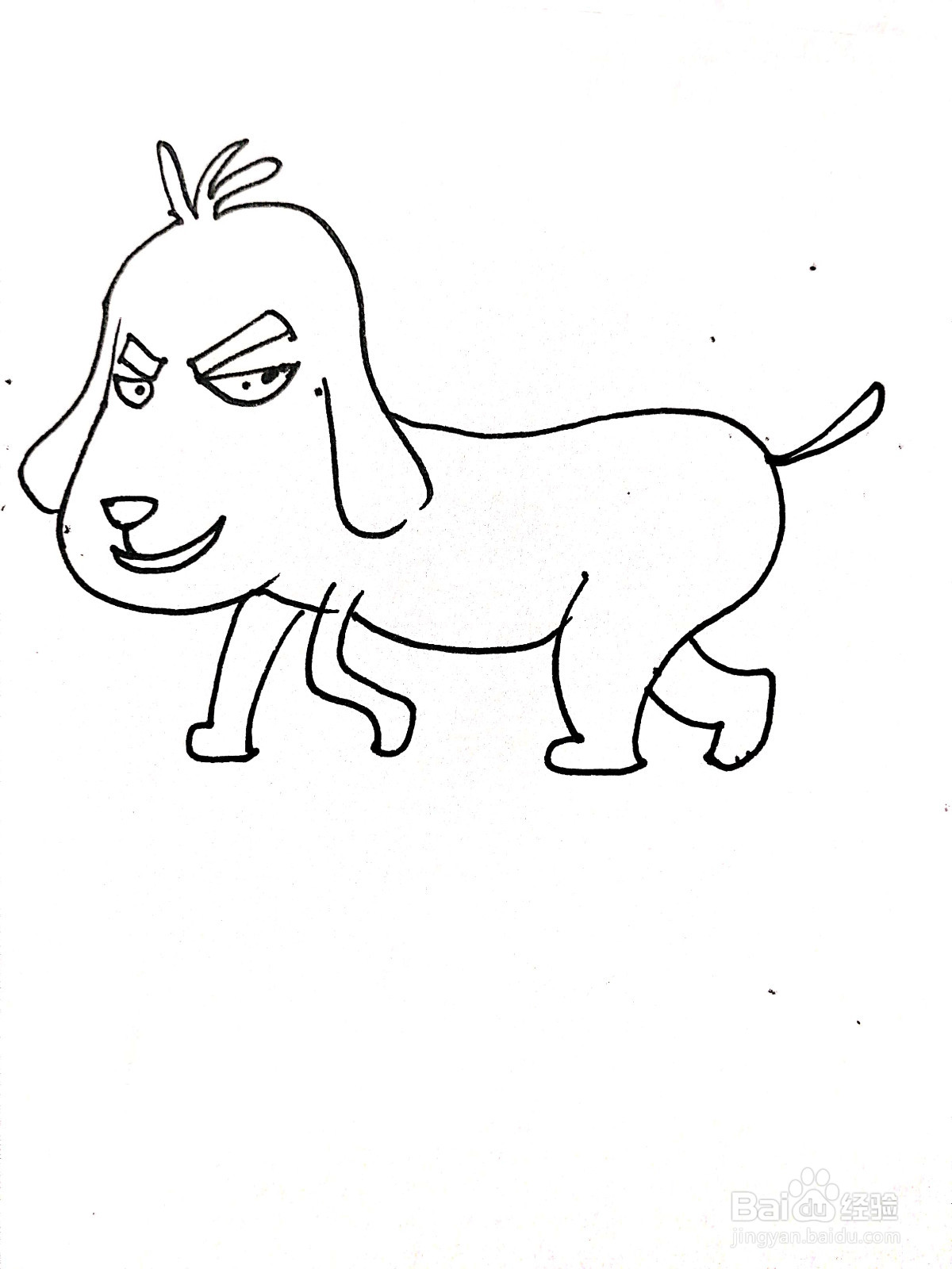 《刺客伍六七》系列之五六七变身的小狗简笔画