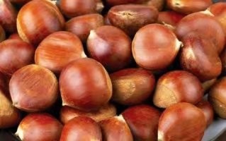 补肾妙招一吃就行