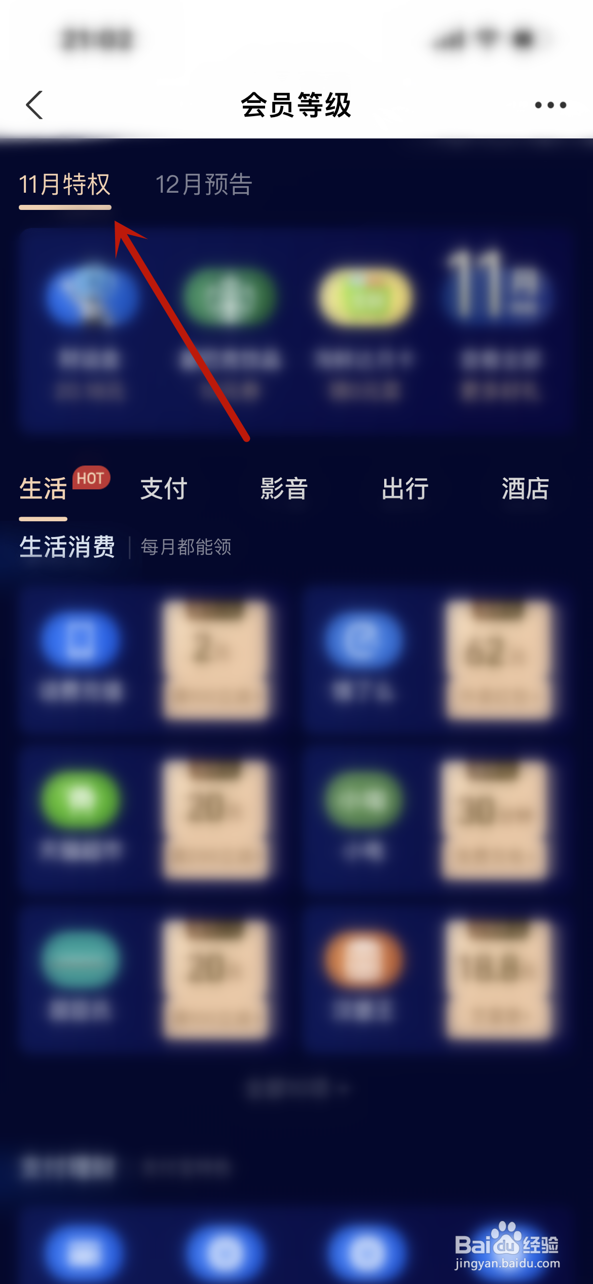 支付宝在哪查看我的会员特权