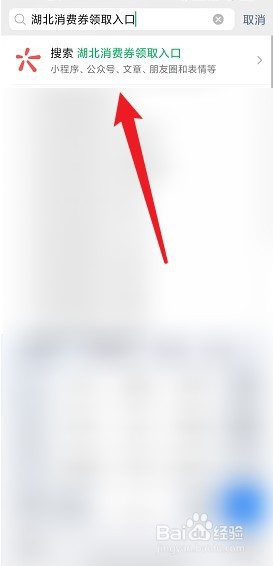 湖北消费券怎么领