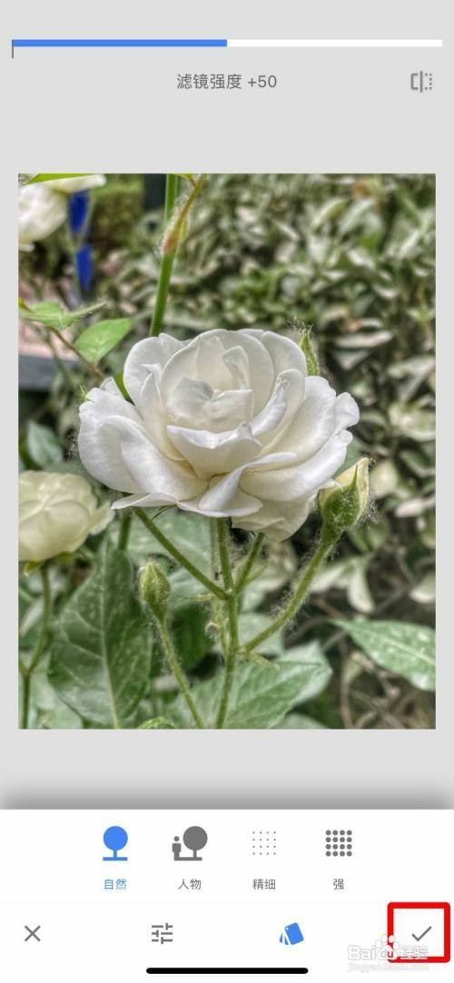 Snapseed把照片调整成HDR风格怎么操作