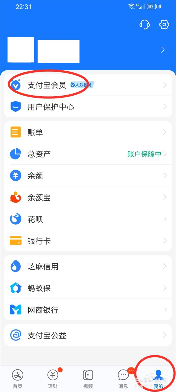 支付宝洛天依皮肤怎么领