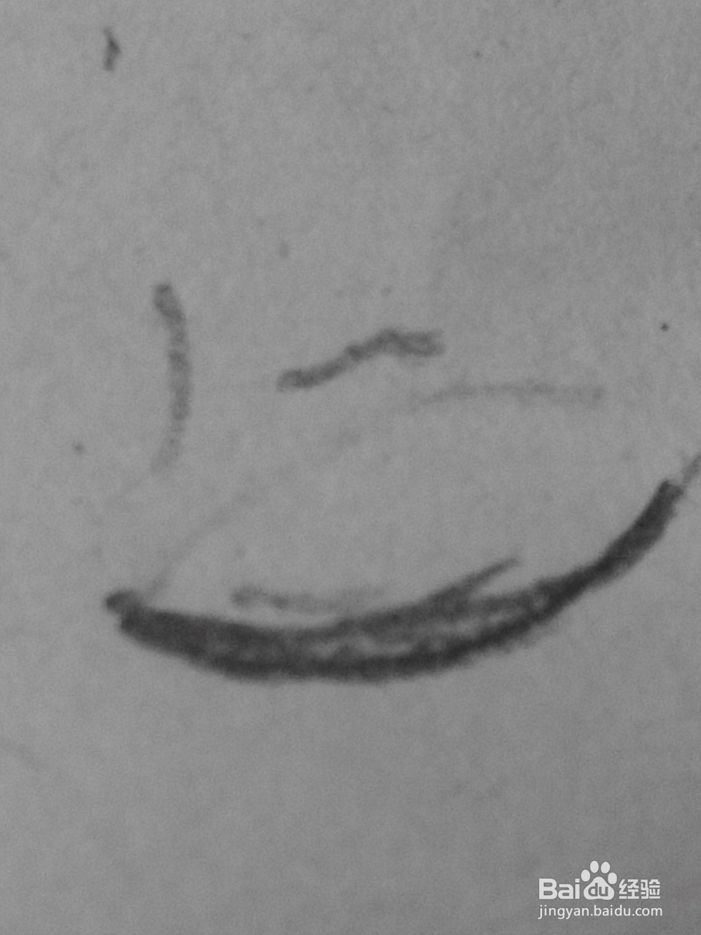 原创动漫人物的眼睛23