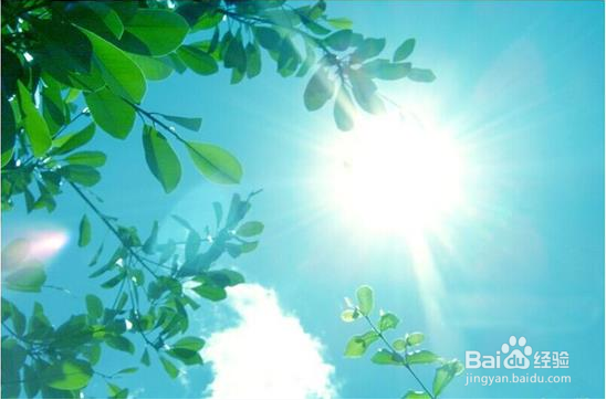 提高免疫力的方法有哪些