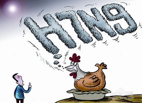 h7n9禽流感怎么预防的方法