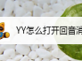YY怎么打开回音消除