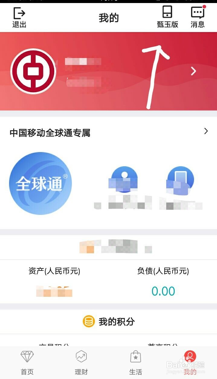 中国银行如何切换甄玉版和标准版？