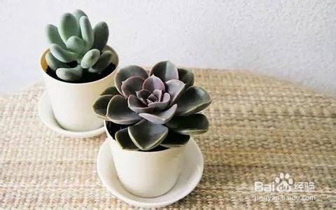 如何创造一个良好的办公环境，提供工作效率？