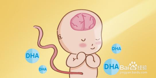 DHA是什么对婴幼儿有哪些益处