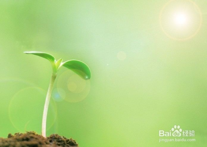 生活健康技巧：[12]食物系列三