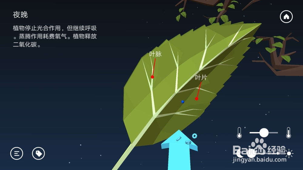 高中生物温度与光照对光合作用的影响知识点详解