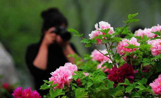 ( )哇( )这花真美呀( )怎么打标点符号