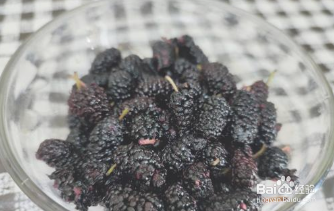 桑葚的好吃做法