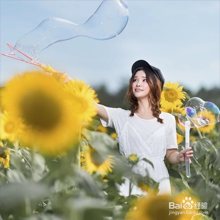 人与向日葵怎么拍照