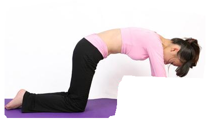 睡前猫式瑜伽高效瘦腰