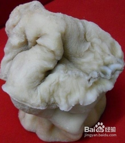 野生太岁肉芝可以用刀切吗