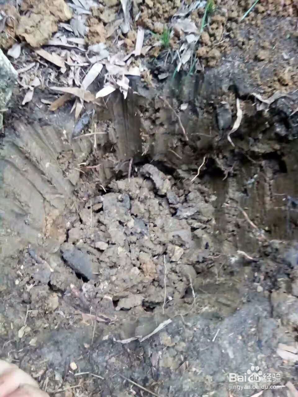 白酒的储存方法有哪些?