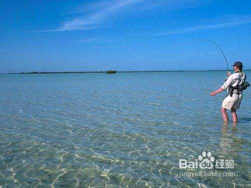 釣魚技巧大全-怎樣找到魚脫鉤的原因