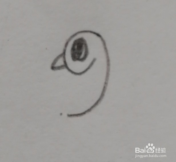 如何用数字5-9画出小动物呢？（下）