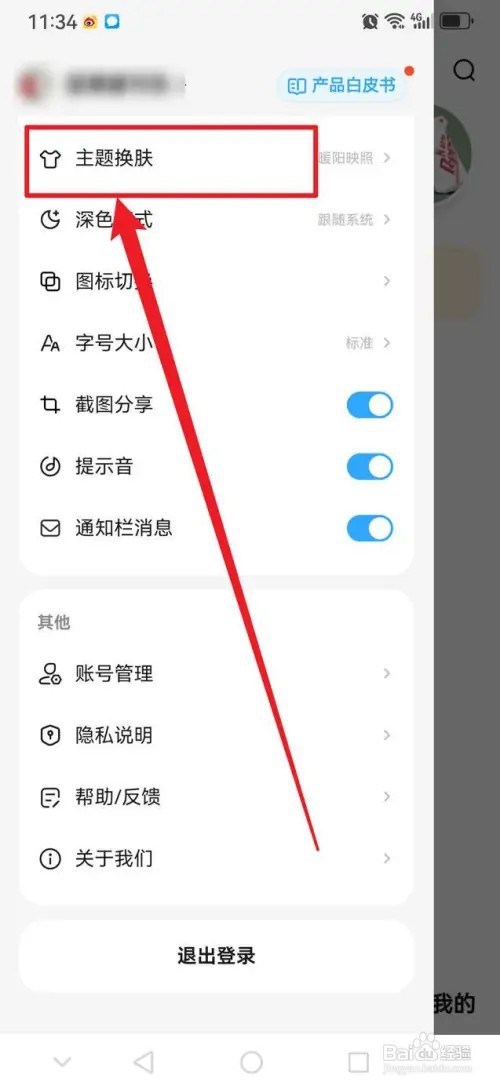 手机APP文小言在哪里更换主题皮肤