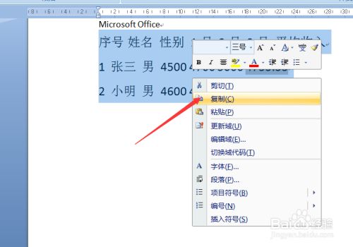 word文档转换成excel表格