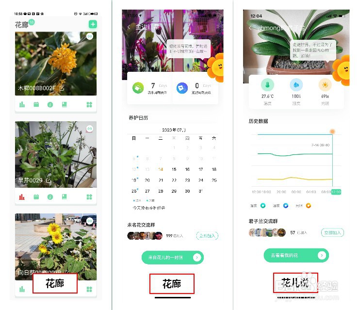花将花草监测仪怎么样 花将花草监测仪怎么用