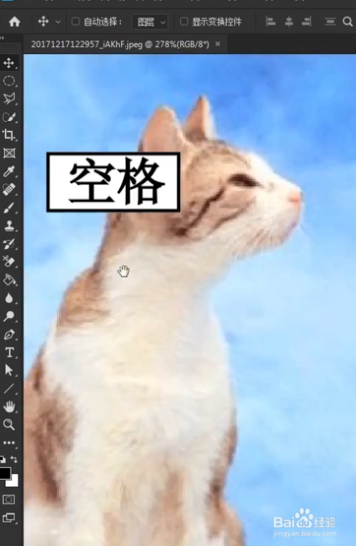 ps画笔工具小技巧