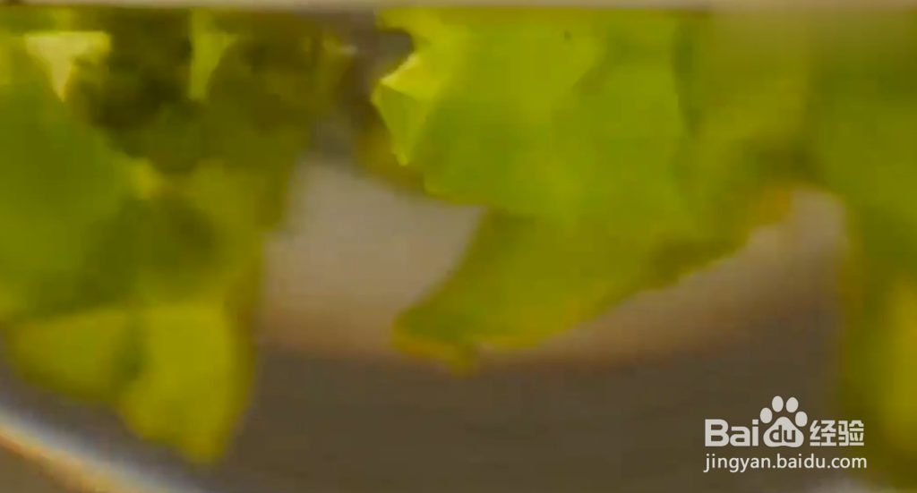 如何成为厨房小能手