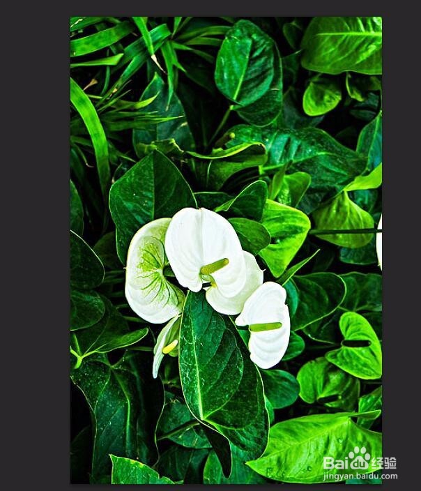 PS中怎么旋转图片？