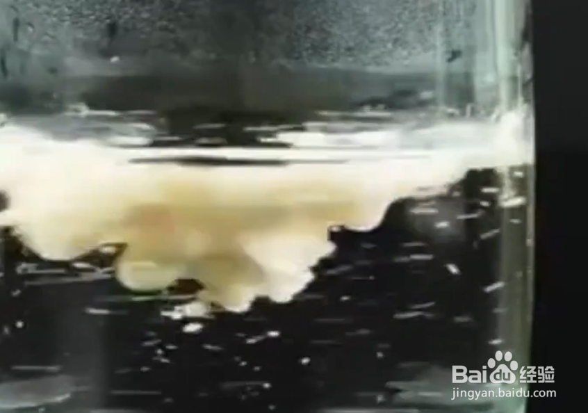 如何辨别食品的优劣