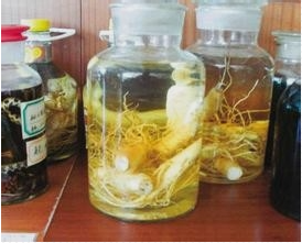 自制人参枸杞酒的成功方法
