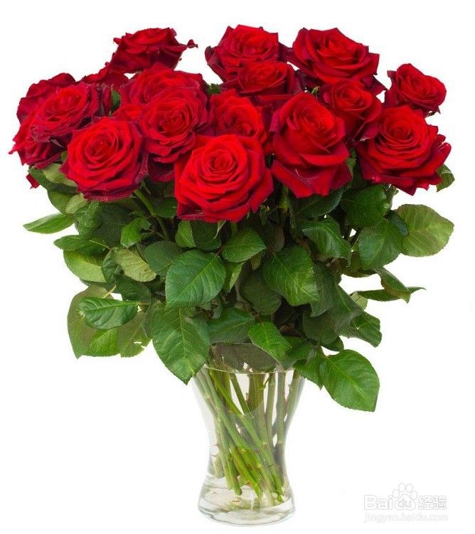 如何让鲜花保鲜更久？