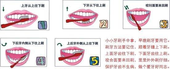 牙齿健康使人活的更健康