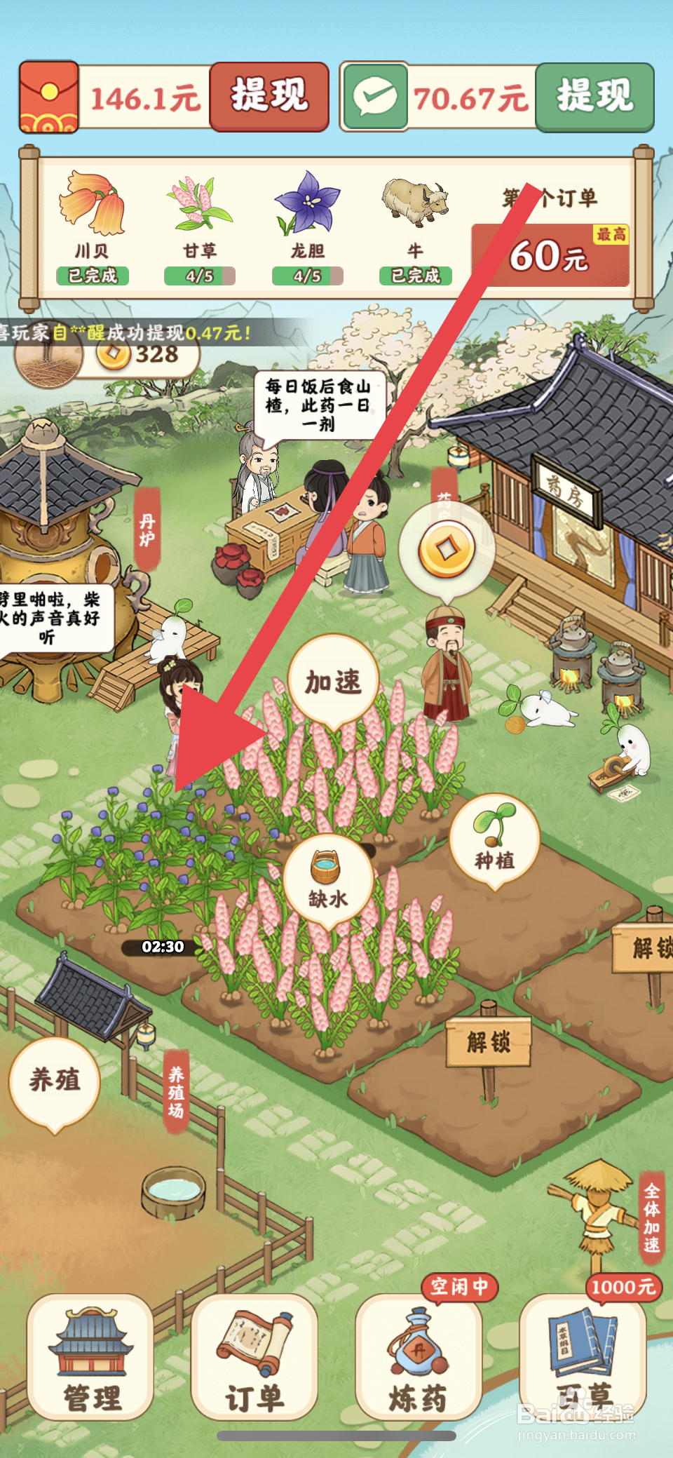 杏林世家龙胆农作物怎么种植