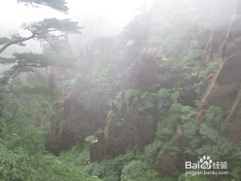 走丢了怎么办？如何快速获救方法