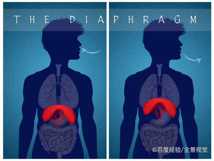 #好久不见#如果突发地震,我们要怎么做