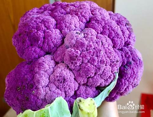 清炒紫花椰菜 百度经验 清炒紫花椰菜 百度经验