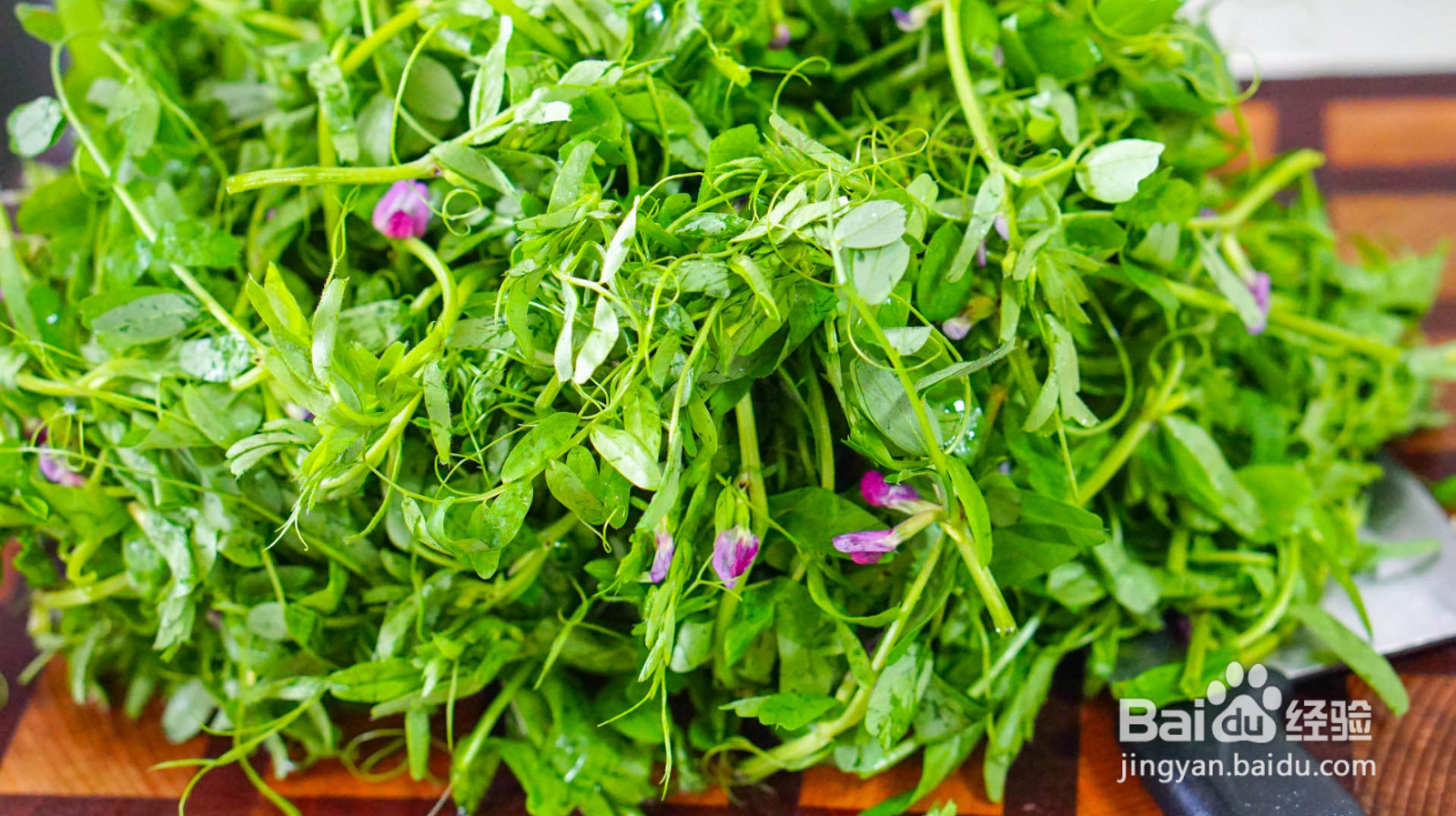 野菜鲜肉包子的做法